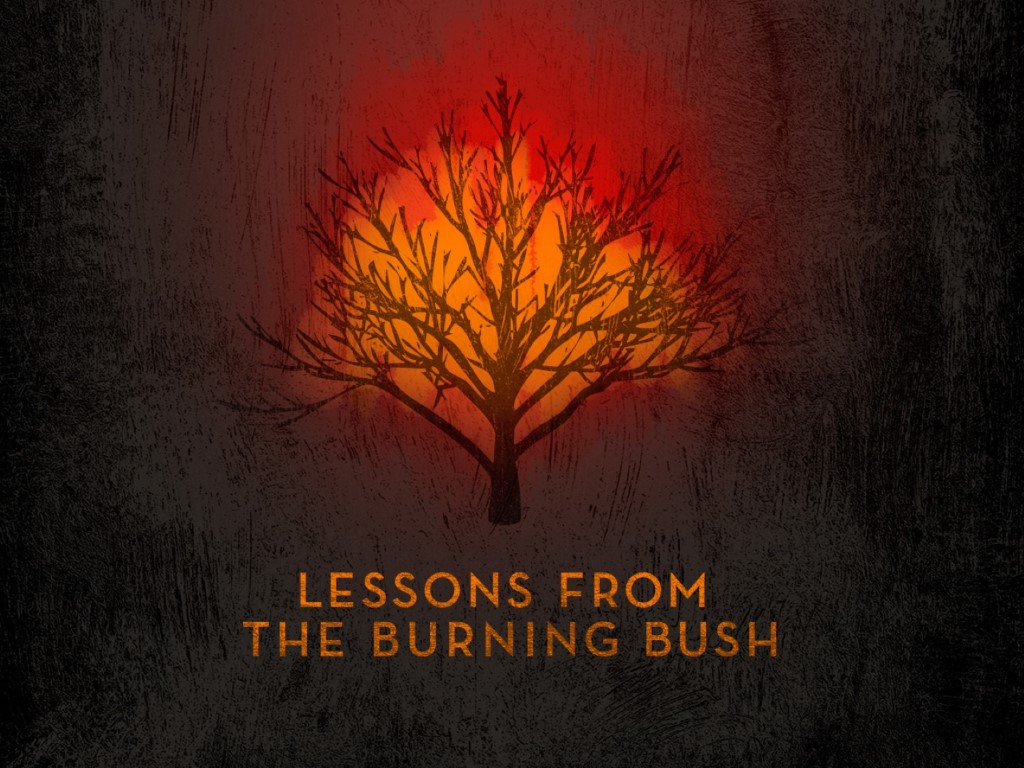 Discovering Moses: Burning Bush